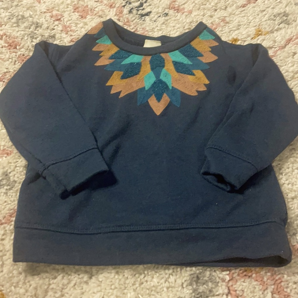 Zara embroidered sweatshirt